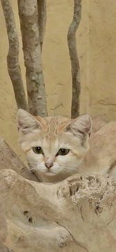 ネオパークオキナワに投稿された画像（2024/6/17）