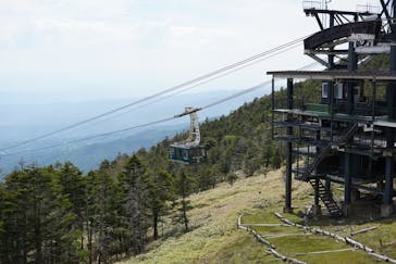 北八ヶ岳ロープウェイに投稿された画像（2024/6/17）
