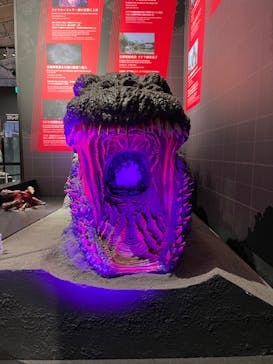 ニジゲンノモリに投稿された画像（2024/6/17）