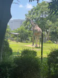 天王寺動物園に投稿された画像（2024/6/18）