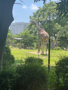 天王寺動物園に投稿された画像（2024/6/17）