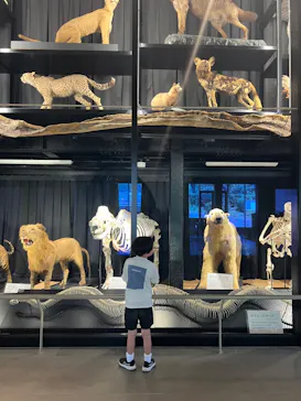 天王寺動物園に投稿された画像（2024/6/17）