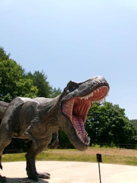 福井県立恐竜博物館に投稿された画像（2024/6/17）