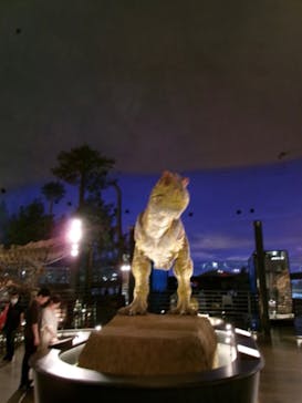 福井県立恐竜博物館に投稿された画像（2024/6/17）