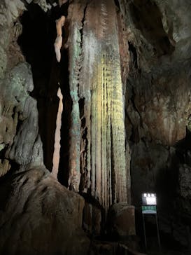 秋芳洞に投稿された画像（2024/6/17）