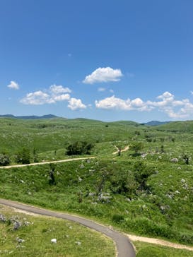 秋芳洞に投稿された画像（2024/6/17）