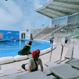 仙台うみの杜水族館に投稿された画像（2024/6/18）
