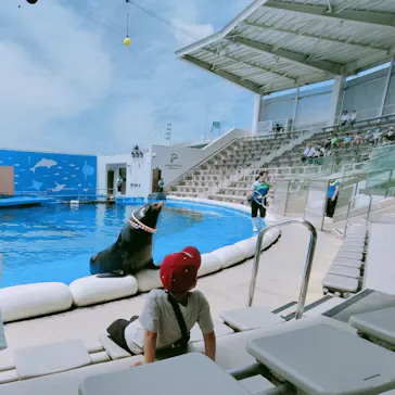 仙台うみの杜水族館に投稿された画像（2024/6/17）