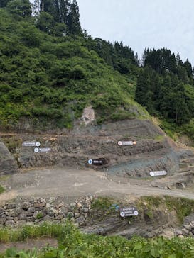 福井県立恐竜博物館に投稿された画像（2024/6/18）
