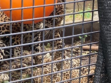 沖縄こどもの国に投稿された画像（2024/6/18）