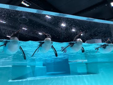 AOAO SAPPOROに投稿された画像（2024/6/18）