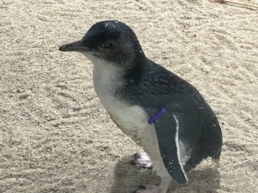 AOAO SAPPOROに投稿された画像（2024/6/18）