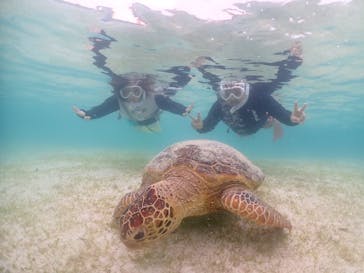 タビワク　宮古島に投稿された画像（2024/6/18）