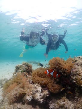 タビワク　宮古島に投稿された画像（2024/6/18）