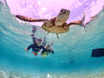 ちゃこたびに投稿された画像（2024/6/18）