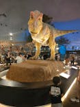 福井県立恐竜博物館に投稿された画像（2024/6/18）