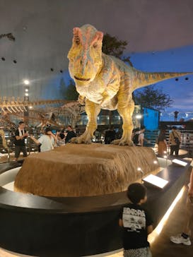 福井県立恐竜博物館に投稿された画像（2024/6/18）