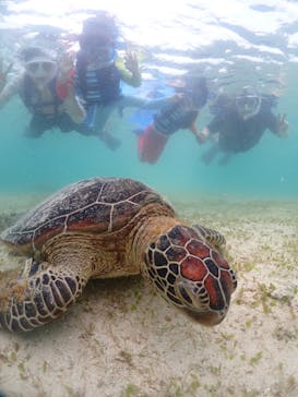 初心者専門宮古島シュノーケリングツアーに投稿された画像（2024/6/18）