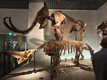 国立科学博物館に投稿された画像（2024/6/18）