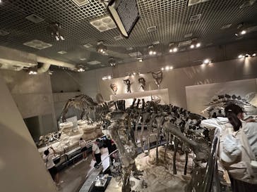 国立科学博物館に投稿された画像（2024/6/18）