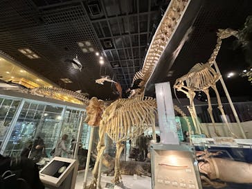 国立科学博物館に投稿された画像（2024/6/18）