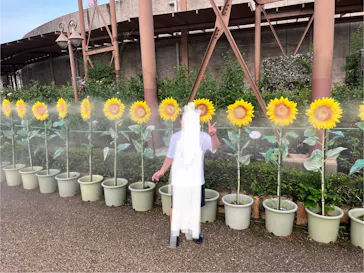 ひらかたパークに投稿された画像（2024/6/18）