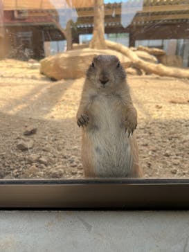 那須どうぶつ王国に投稿された画像（2024/6/18）