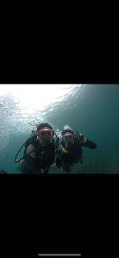 武藤潜水に投稿された画像（2024/6/18）