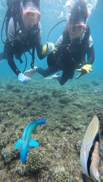 武藤潜水に投稿された画像（2024/6/18）