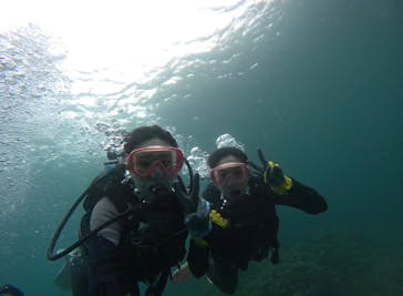 武藤潜水に投稿された画像（2024/6/18）