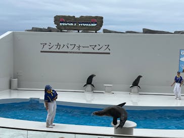 鴨川シーワールドに投稿された画像（2024/6/18）