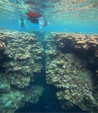 石垣島 ADVENTURE PiPi（イシガキジマアドベンチャーピピ）に投稿された画像（2024/6/18）