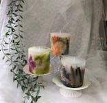 ずこうしつ〜sugamo〜に投稿された画像（2024/6/18）