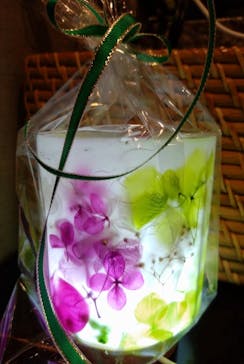 ずこうしつ〜sugamo〜に投稿された画像（2024/6/18）