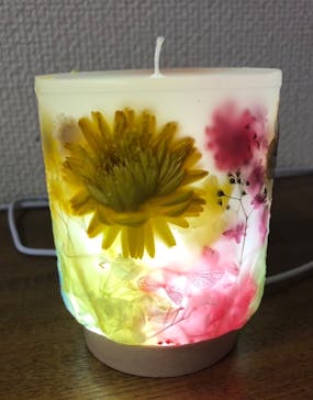 ずこうしつ〜sugamo〜に投稿された画像（2024/6/18）