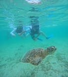 宮古島 ADVENTURE PiPi（ミヤコジマ アドベンチャー ピピ）に投稿された画像（2024/6/18）