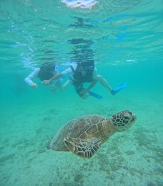 宮古島 ADVENTURE PiPi（ミヤコジマ アドベンチャー ピピ）に投稿された画像（2024/6/18）