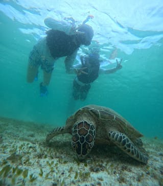 宮古島 ADVENTURE PiPi（ミヤコジマ アドベンチャー ピピ）に投稿された画像（2024/6/18）