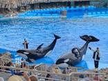 名古屋港水族館に投稿された画像（2024/6/18）