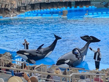名古屋港水族館に投稿された画像（2024/6/18）