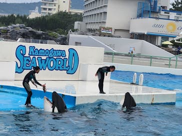 鴨川シーワールドに投稿された画像（2024/6/18）