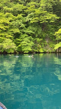 リブパイオニアに投稿された画像（2024/6/18）