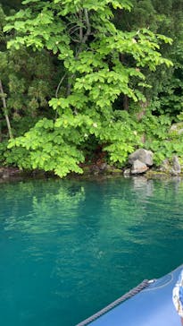 リブパイオニアに投稿された画像（2024/6/18）