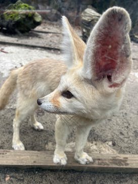 伊豆シャボテン動物公園に投稿された画像（2024/6/18）