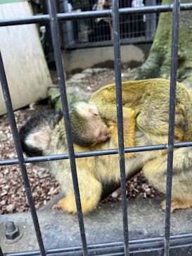 伊豆シャボテン動物公園に投稿された画像（2024/6/18）