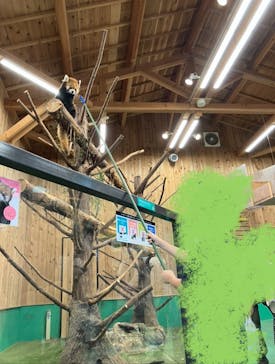 伊豆シャボテン動物公園に投稿された画像（2024/6/18）