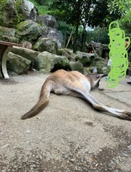 伊豆シャボテン動物公園に投稿された画像（2024/6/18）