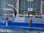 大分マリーンパレス水族館 「うみたまご」に投稿された画像（2024/6/18）