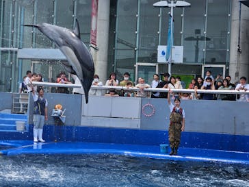 大分マリーンパレス水族館 「うみたまご」に投稿された画像（2024/6/18）