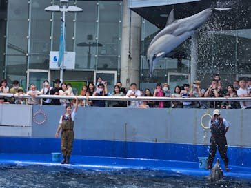 大分マリーンパレス水族館 「うみたまご」に投稿された画像（2024/6/18）